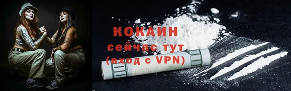 индика Нея