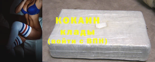 индика Михайловск