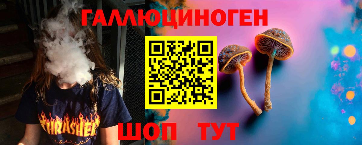 даркнет сайт  Псилоцибиновые грибы Cubensis  Вход с VPN  Краснознаменск 
