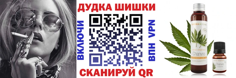 Бошки Шишки план Краснознаменск